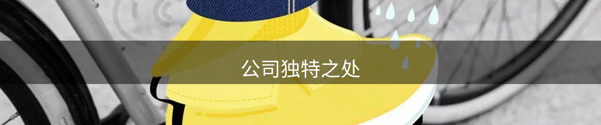 公司独特之处